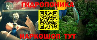 бошки Гусь-Хрустальный